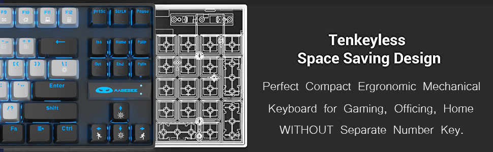 tenkeyless mechanical keyboard