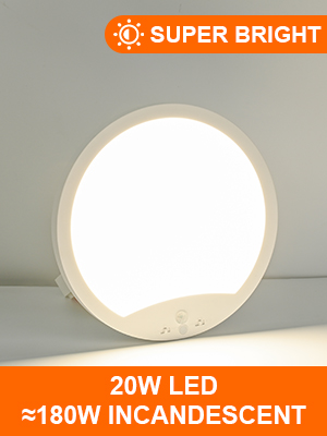 motion sensor ceiling lights