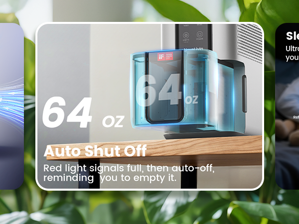 dehumidifier with humidity control