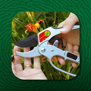 pruners, ratchet pruners, pruning shears,