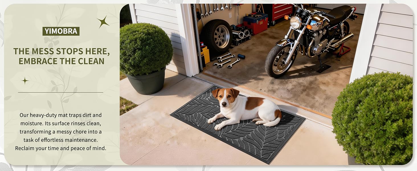 Entrance mat