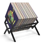 Honlibey Vinyl Record Holder 80-100LPs, Desktop Bookshelf, Metal Cookbook Organizer, CDs/Magazine...