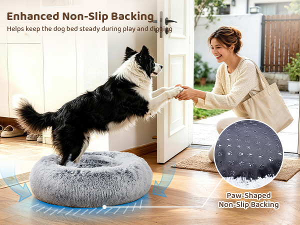 dog beds