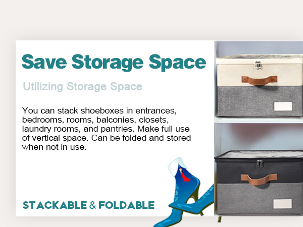 Shoe Organizer for Closet