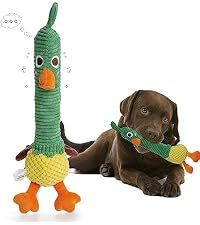 https://m.media-amazon.com/images/S/aplus-media-library-service-media/244280e2-bce0-4ff5-99ee-5d3581a5e546.__AC_SR200,225___.jpg
