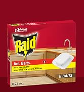 Raid Ant Bait 8 count