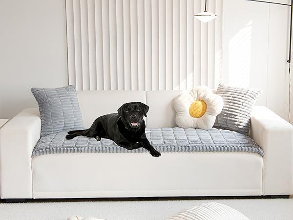 light grey couch cover