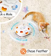 cat toys interactive