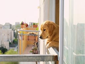 sliding window lock