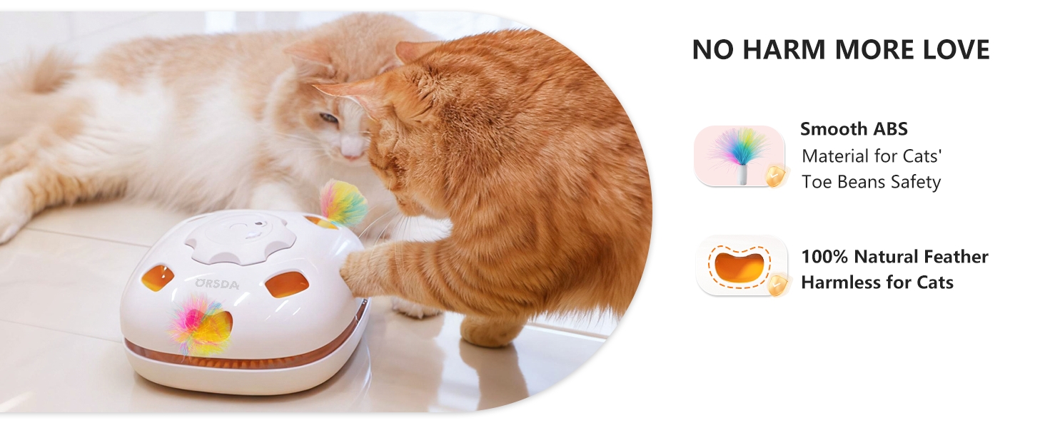 cat toys interactive