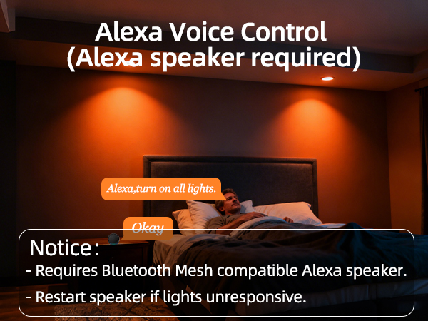 Alexa Voice Control