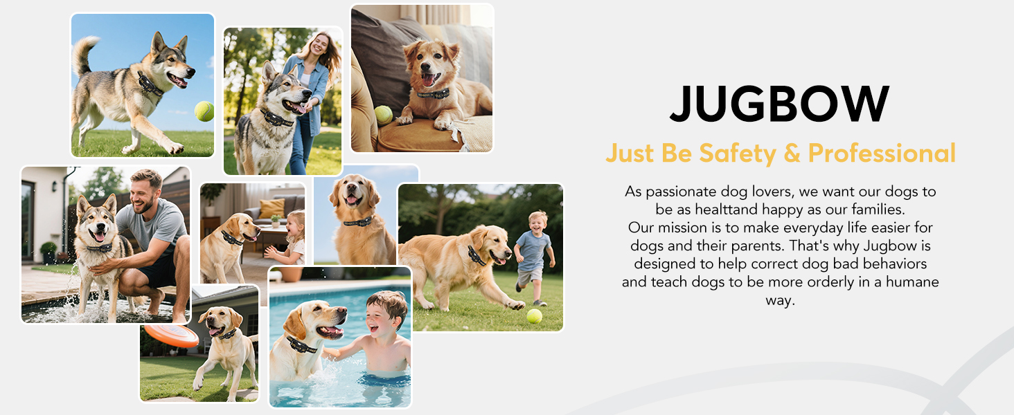 jugbow dog shock collar