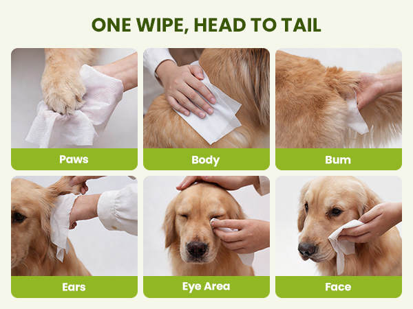 pet wipes