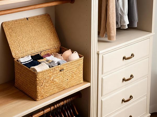 Shelf Baskets with Lid