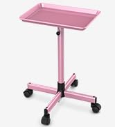 TASALON Premium Salon Tray on Wheels, Aluminum Salon Rolling Tray Trolley for Salon Essentials, A...