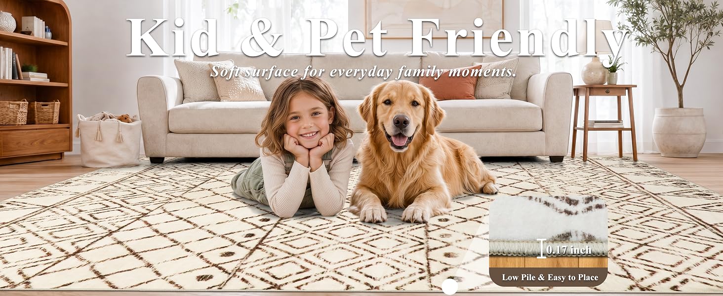 Pet Friendly Mat