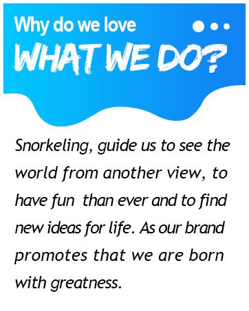 snorkeling gear for adults