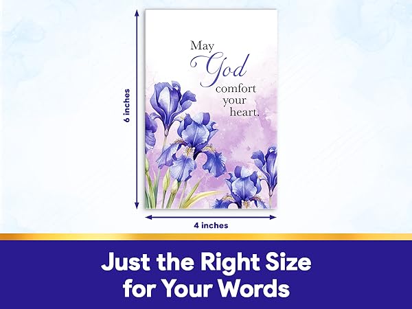 https://m.media-amazon.com/images/S/aplus-media-library-service-media/55c952d4-052d-433a-a9b9-b8e8ecc53726.__CR0,0,1200,900_PT0_SX600_V1___.jpg
