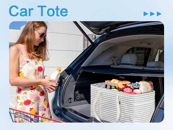 car tote