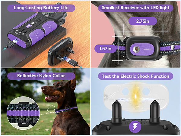 e collar for dogs training