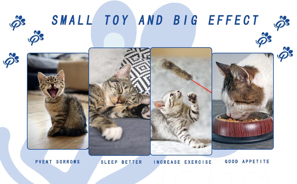 cat toy