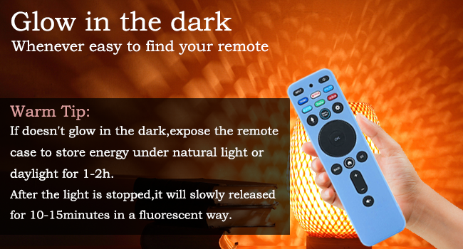 remote case