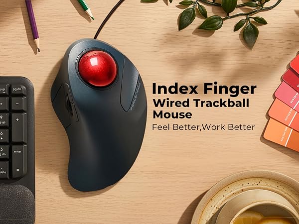 trackball mouse