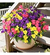 Artificial Impatiens Flowers for Outdoors, 6 Bundles Multicolor Silk Fake Flowers for Spring Summ...