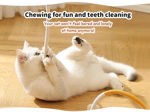 cat ropes
