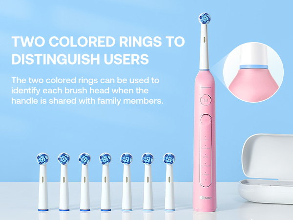 Electric Toothbrush