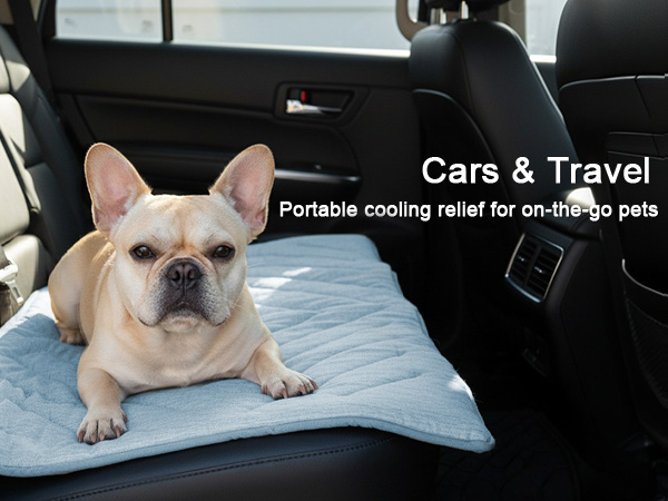 Cars & Travel