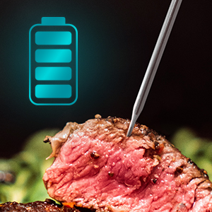 11063 Cooking Grilling Meat Thermometer Temperature