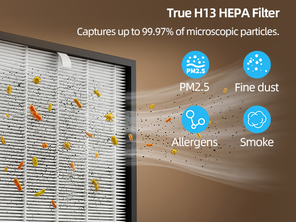 Air Purifier for Home Large Room