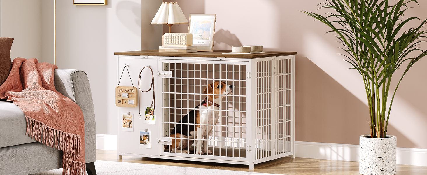 Dog Crate