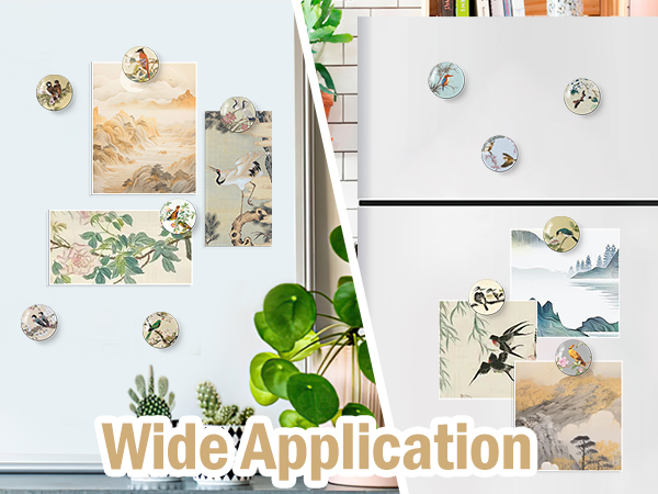 1368 wide application sj