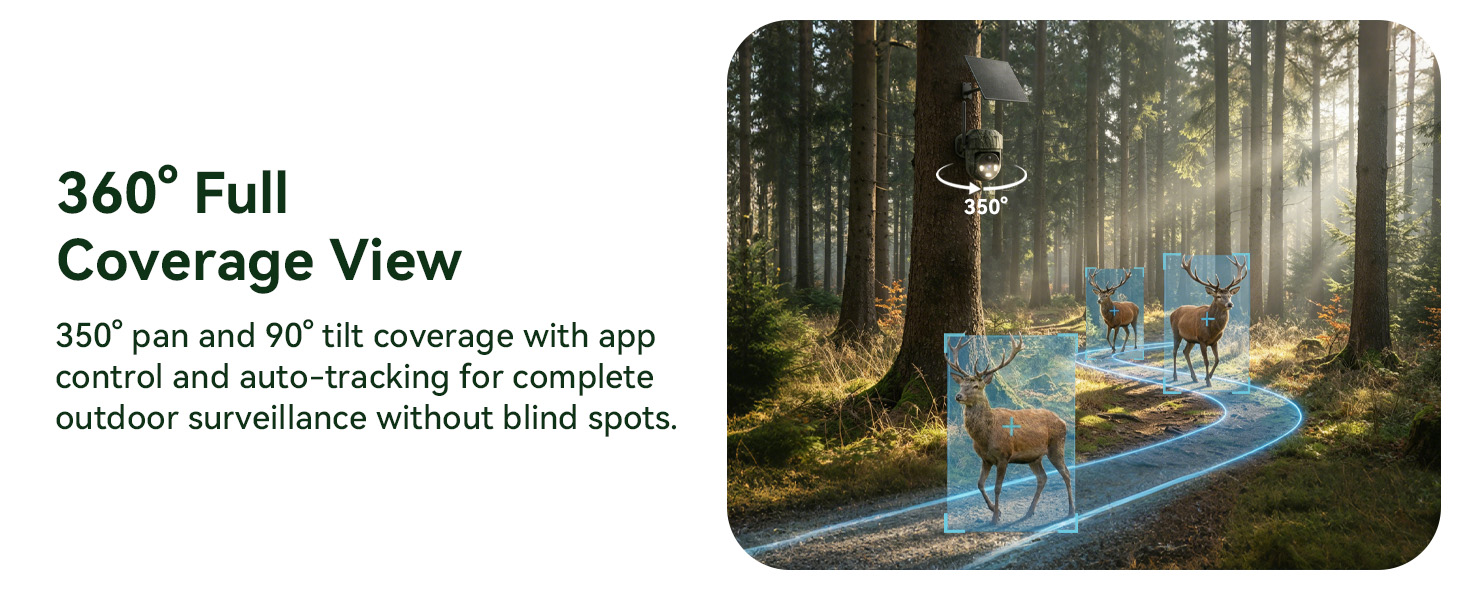 trail cameras