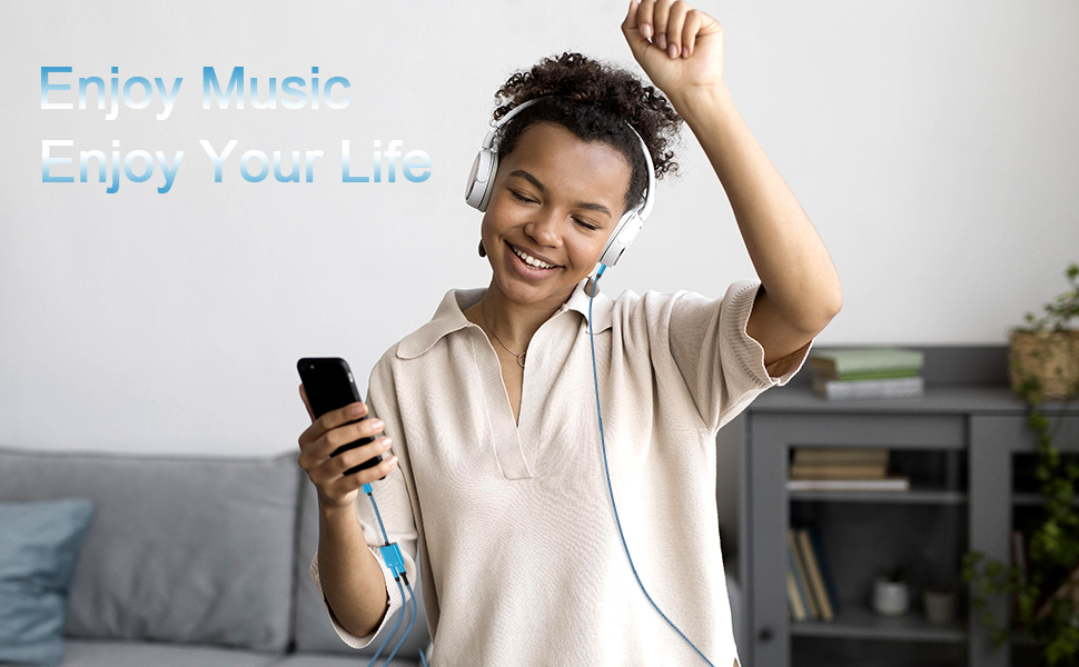 hi-fi aux adapter to iphone