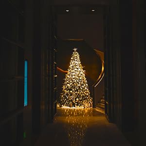 fairy lights