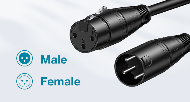 mic cable