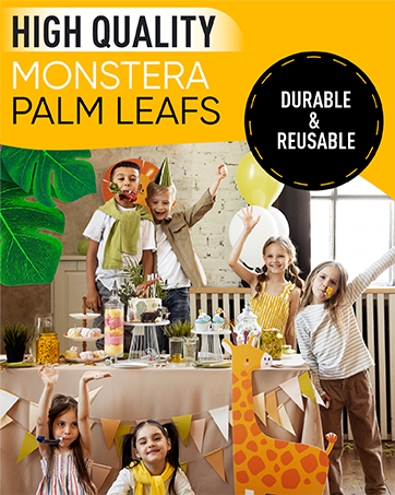 Monstera palm leafs