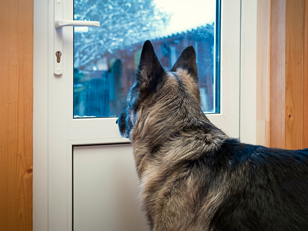Home Security Door Lock