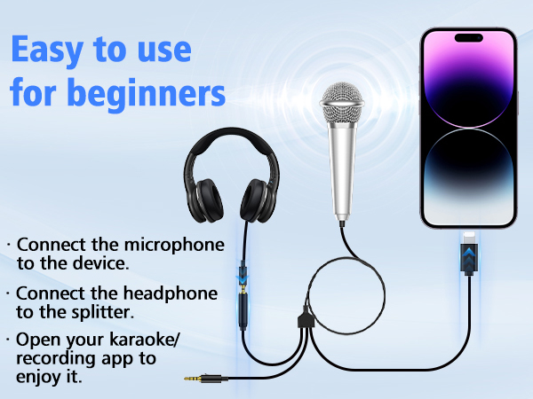 Mini microphone
