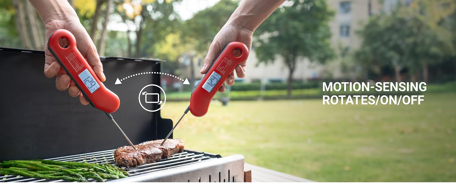 meat thermometer digital