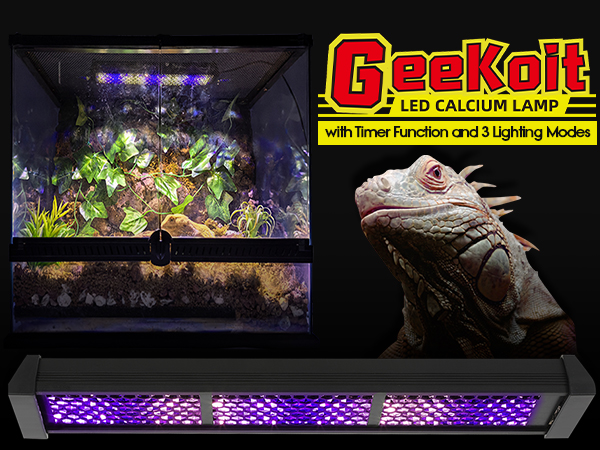 uvb light for reptiles