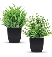 Der Rose 2 Pcs Fake Plants Small Artificial Plants for Black Bathroom Decor | Modern black pots f...