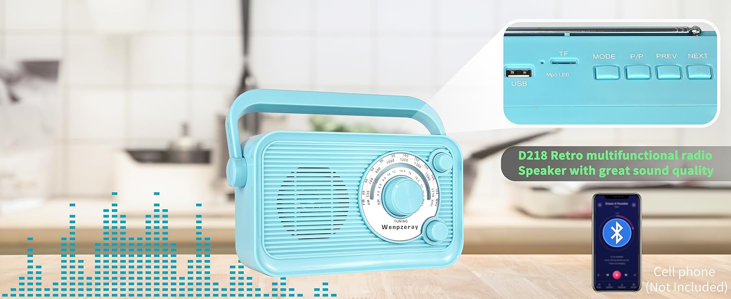 D218 Multifunctional radio with USB flash drive, TF card and Bluetooth for audio playback