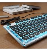 SEUNKWANG Wired Backlit Keyboard with Pudding Keycaps, Quiet Full Size Computer Keyboard Blue Bac...