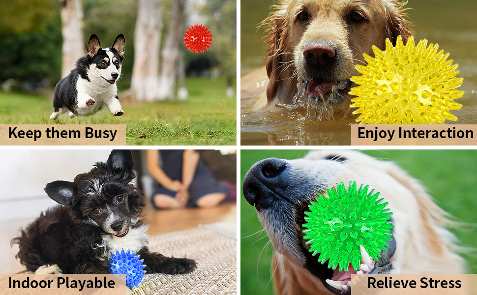 dog toys