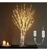 LITBLOOM Lighted White Birch Twig Branches 32IN 150 LED Plug in with Timer and Dimmer, Artificial...