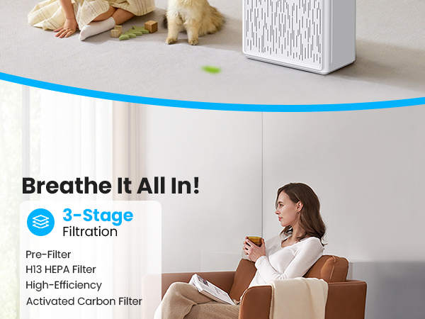 hepa air purifier for home